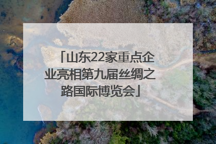 山东22家重点企业亮相第九届丝绸之路国际博览会