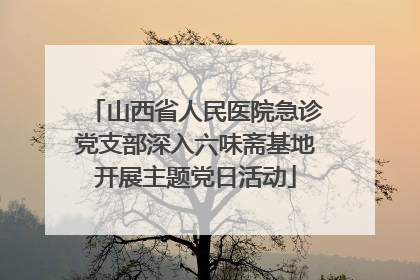 山西省人民医院急诊党支部深入六味斋基地开展主题党日活动