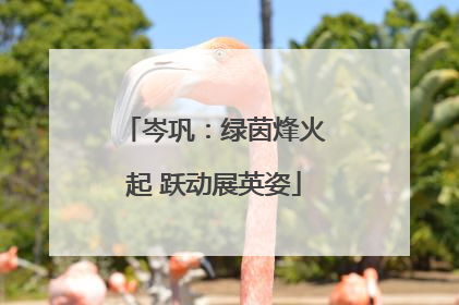 岑巩：绿茵烽火起 跃动展英姿