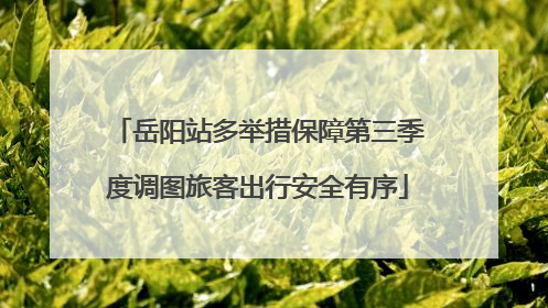 岳阳站多举措保障第三季度调图旅客出行安全有序