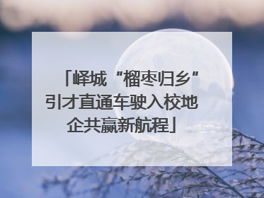 峄城“榴枣归乡”引才直通车驶入校地企共赢新航程