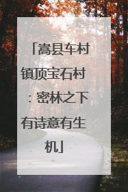 嵩县车村镇顶宝石村：密林之下有诗意有生机