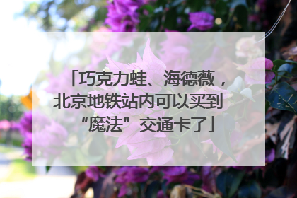 巧克力蛙、海德薇，北京地铁站内可以买到“魔法”交通卡了