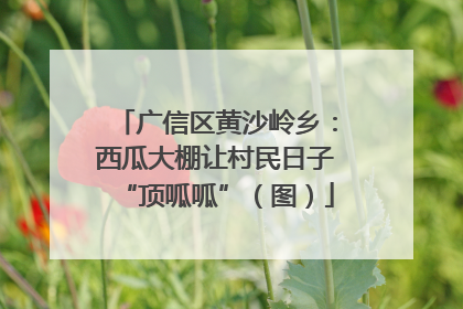广信区黄沙岭乡：西瓜大棚让村民日子“顶呱呱”（图）