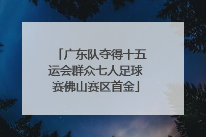 广东队夺得十五运会群众七人足球赛佛山赛区首金