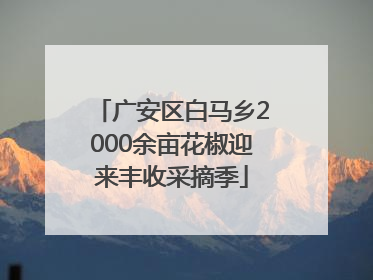 广安区白马乡2000余亩花椒迎来丰收采摘季