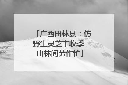 广西田林县：仿野生灵芝丰收季 山林间劳作忙