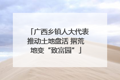 广西乡镇人大代表推动土地盘活 撂荒地变“致富园”