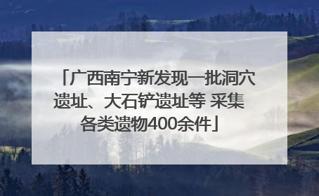 广西南宁新发现一批洞穴遗址、大石铲遗址等 采集各类遗物400余件