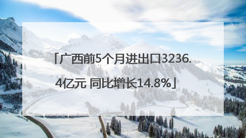 广西前5个月进出口3236.4亿元 同比增长14.8%