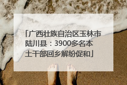 广西壮族自治区玉林市陆川县：3900多名本土干部回乡解纷促和