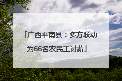 广西平南县：多方联动为66名农民工讨薪