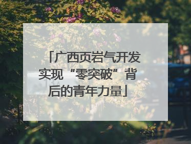 广西页岩气开发实现“零突破”背后的青年力量