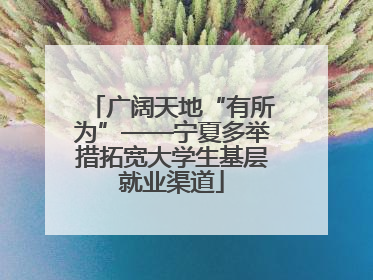 广阔天地“有所为”——宁夏多举措拓宽大学生基层就业渠道