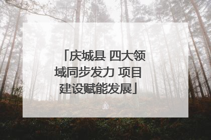 庆城县 四大领域同步发力 项目建设赋能发展