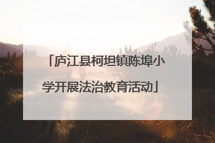 庐江县柯坦镇陈埠小学开展法治教育活动