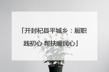 开封杞县平城乡：履职践初心 帮扶暖民心