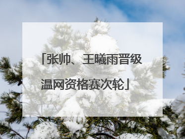 张帅、王曦雨晋级温网资格赛次轮