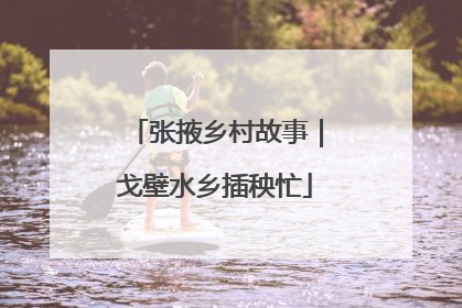 张掖乡村故事｜戈壁水乡插秧忙