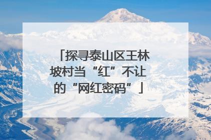探寻泰山区王林坡村当“红”不让的“网红密码”