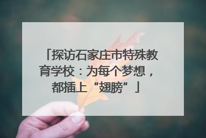 探访石家庄市特殊教育学校：为每个梦想，都插上“翅膀”