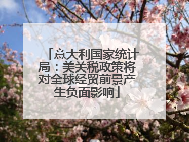 意大利国家统计局：美关税政策将对全球经贸前景产生负面影响