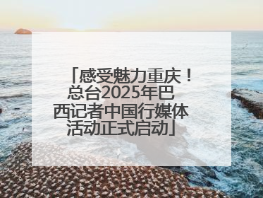 感受魅力重庆！总台2025年巴西记者中国行媒体活动正式启动