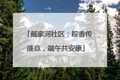 戴家河社区：粽香传廉意，端午共安康