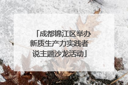 成都锦江区举办新质生产力实践者说主题沙龙活动