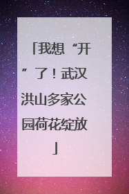 我想“开”了！武汉洪山多家公园荷花绽放