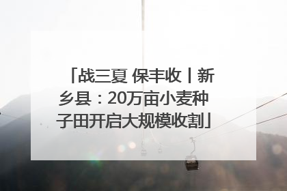 战三夏 保丰收丨新乡县：20万亩小麦种子田开启大规模收割