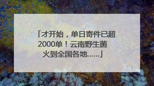 才开始，单日寄件已超2000单！云南野生菌火到全国各地……
