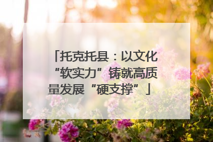 托克托县：以文化“软实力”铸就高质量发展“硬支撑”