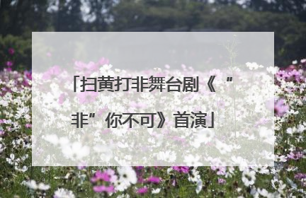 扫黄打非舞台剧《“非”你不可》首演