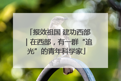 报效祖国 建功西部｜在西部，有一群“追光”的青年科学家