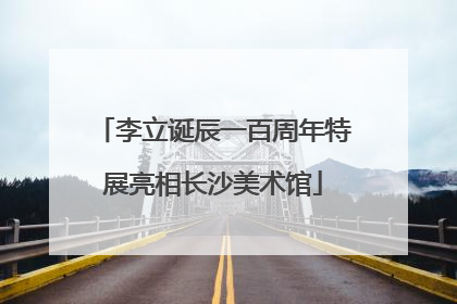 李立诞辰一百周年特展亮相长沙美术馆