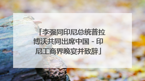李强同印尼总统普拉博沃共同出席中国－印尼工商界晚宴并致辞