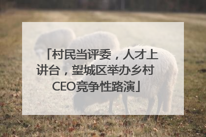 村民当评委，人才上讲台，望城区举办乡村CEO竞争性路演