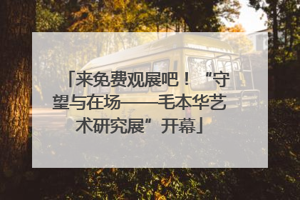 来免费观展吧！“守望与在场——毛本华艺术研究展”开幕
