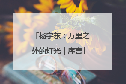 杨宇东：万里之外的灯光｜序言