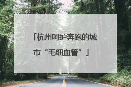 杭州呵护奔跑的城市“毛细血管”