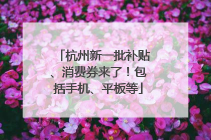 杭州新一批补贴、消费券来了！包括手机、平板等
