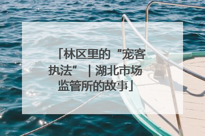 林区里的“宠客执法”｜湖北市场监管所的故事