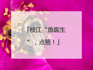 枝江“鱼医生”，点赞！
