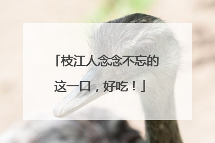 枝江人念念不忘的这一口，好吃！