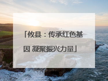 攸县：传承红色基因 凝聚振兴力量