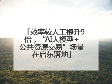 效率较人工提升9倍，“AI大模型+公共资源交易”场景在启东落地