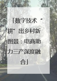 数字技术“耕”出乡村新图景：电商助力三产深度融合