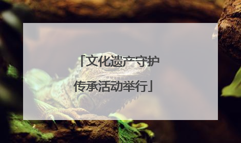 文化遗产守护传承活动举行