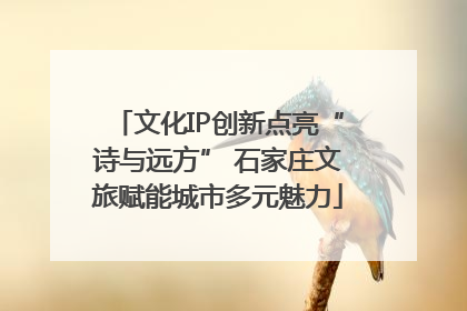 文化IP创新点亮“诗与远方” 石家庄文旅赋能城市多元魅力